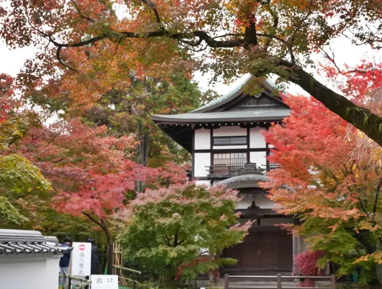 南禪寺永觀堂深度遊：京都禪意之旅全攻略與避坑指南