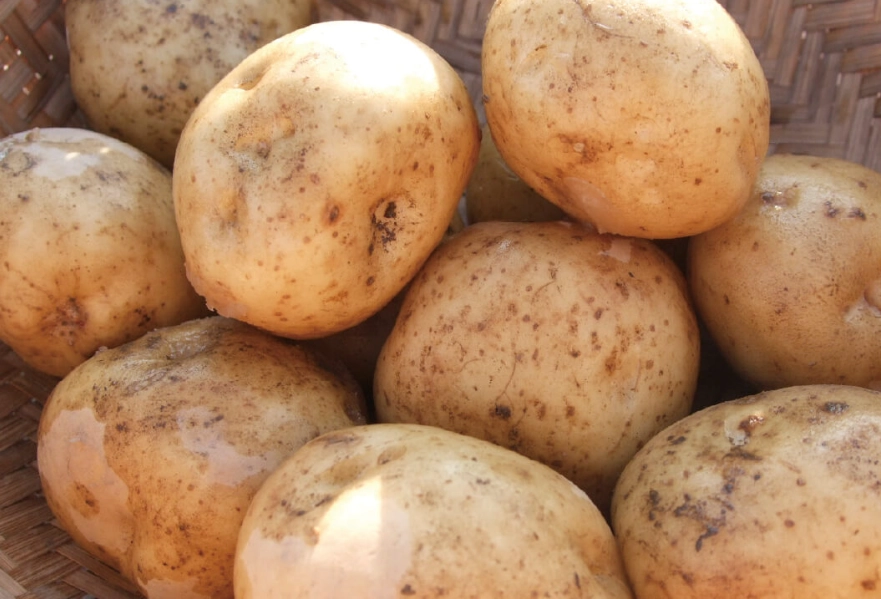 馬鈴薯清潔 馬鈴薯清潔