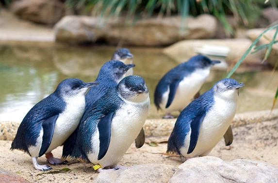 南岛7天自驾 南岛7天自驾