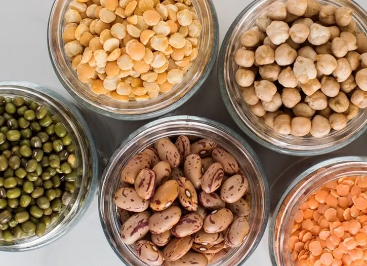 鉀高症狀 鉀高症狀