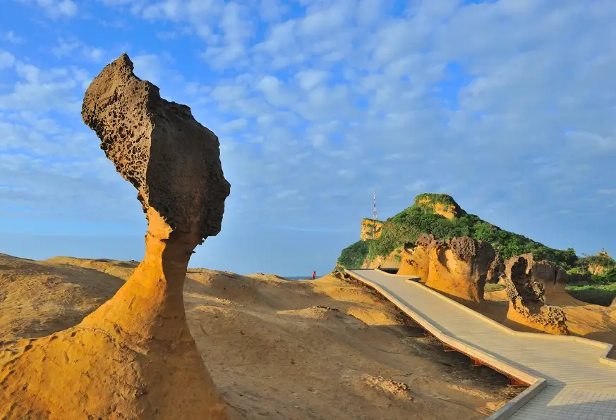 包車旅遊 包車旅遊