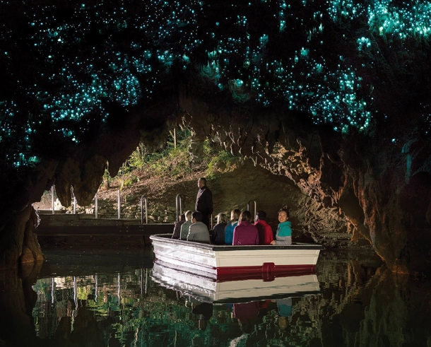 紐西蘭北島旅遊 紐西蘭北島旅遊