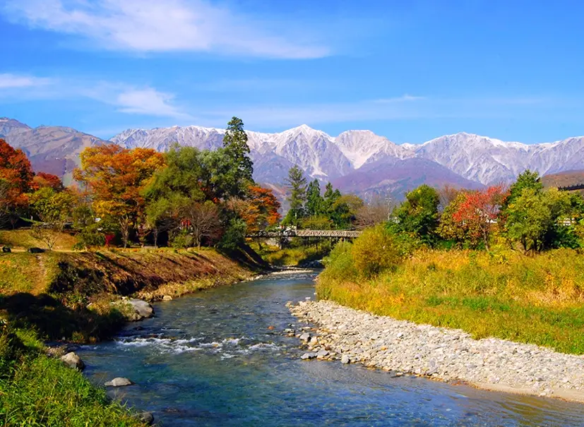 白馬村 賞楓秘境