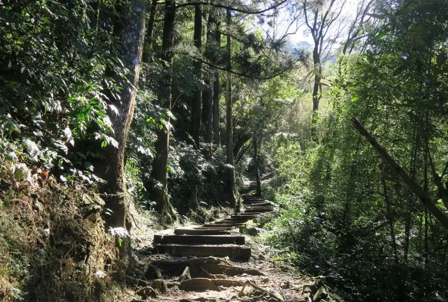 多林車站 交通方式