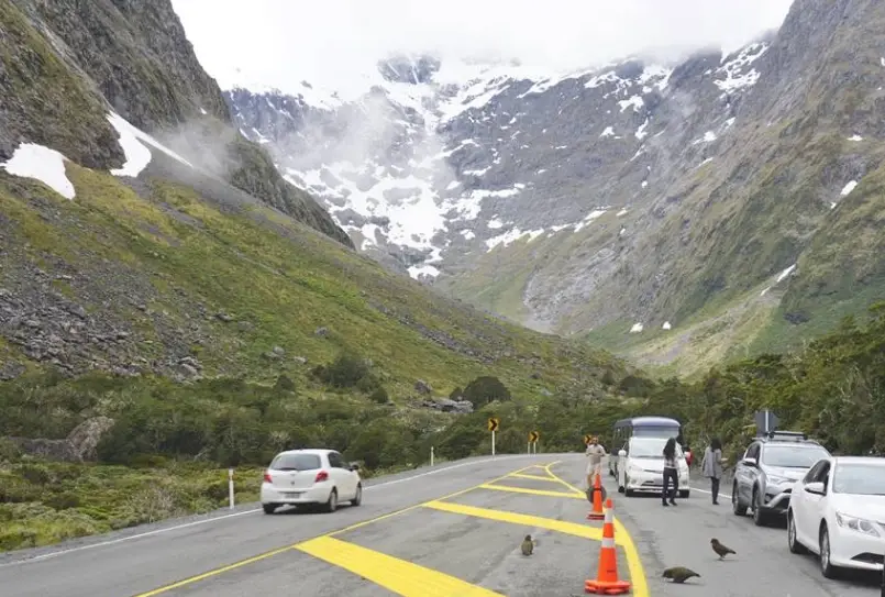 紐西蘭租車終極指南：從保險、交規到省錢秘訣一次搞懂