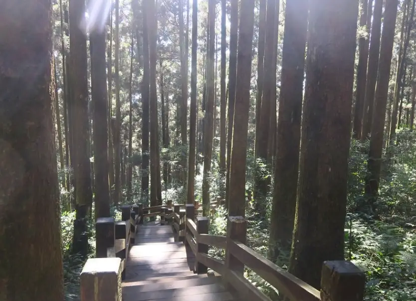 多林車站 大凍山