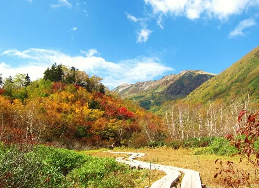 白馬村 賞楓秘境