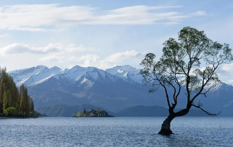 紐西蘭南島自駕