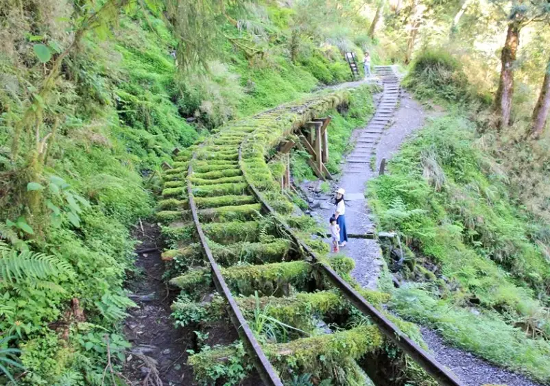 台灣森林步道