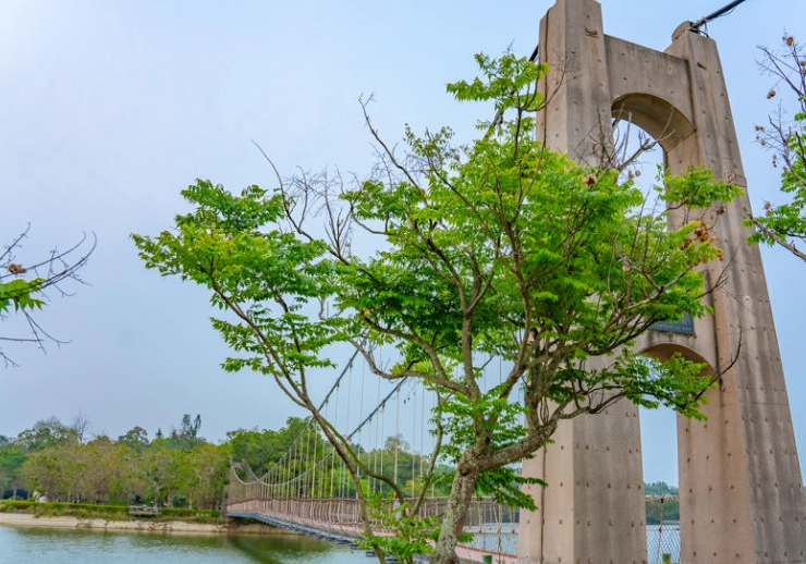 關廟新化一日遊