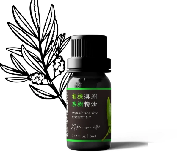 茶樹精油怎麼用