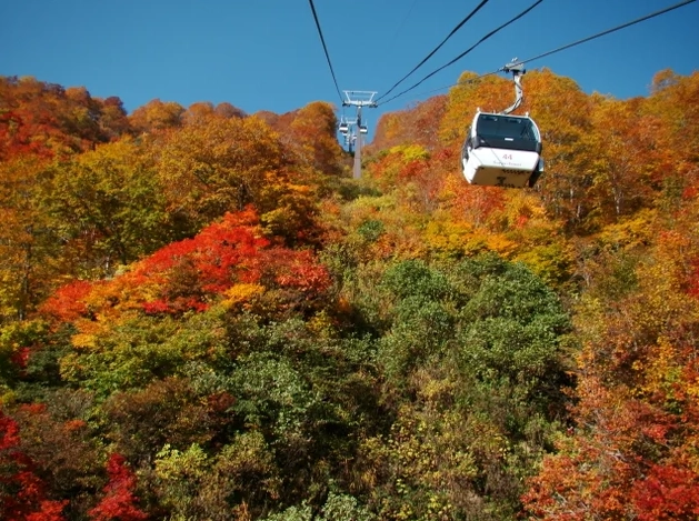 白馬村紅葉 時間