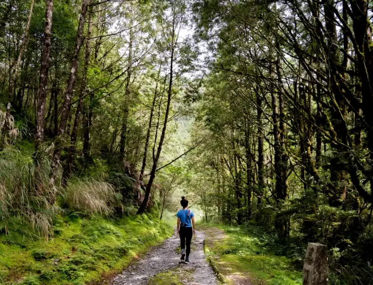 翠山步道交通 翠山步道交通