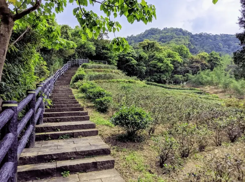 北部親子步道 北部親子步道