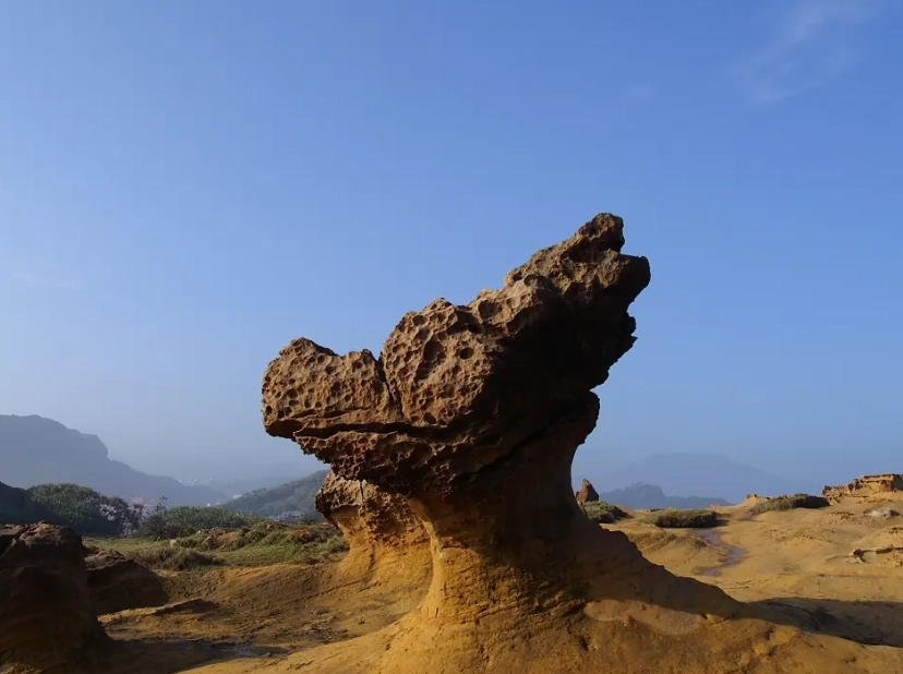 野柳交通 野柳交通
