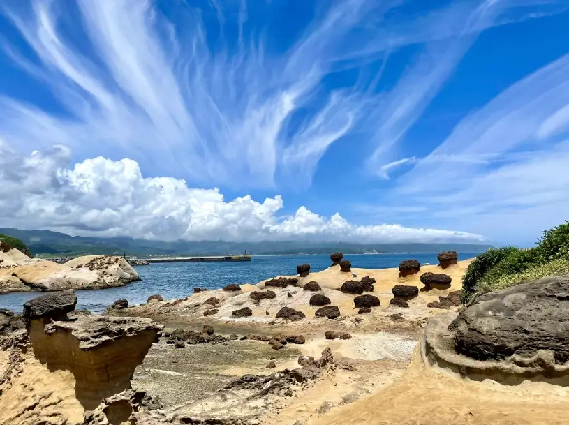 野柳交通 野柳交通