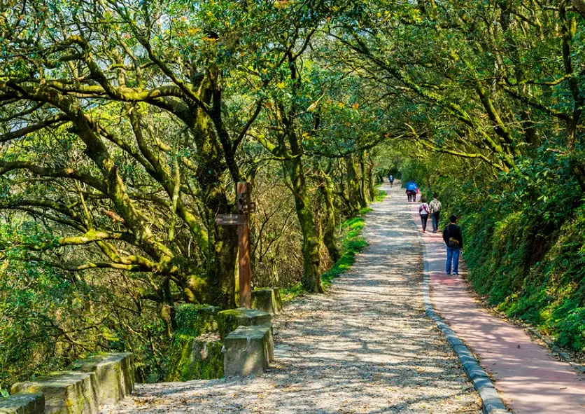 北部爬山景點 北部爬山景點