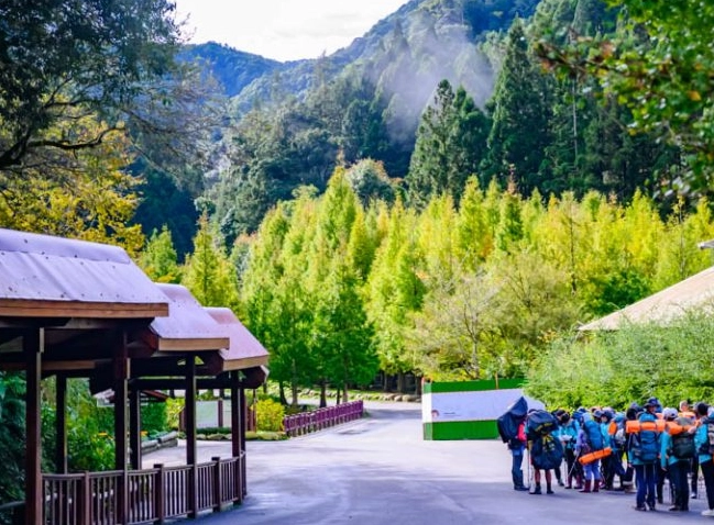 親子飯店排名 親子飯店排名