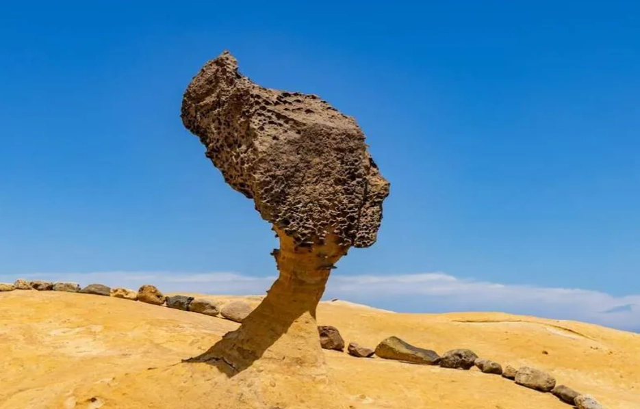 野柳交通 野柳交通
