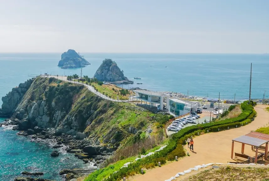 釜山紫線 美食 釜山紫線 美食