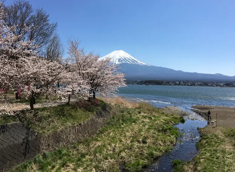 富士山交通 富士山交通