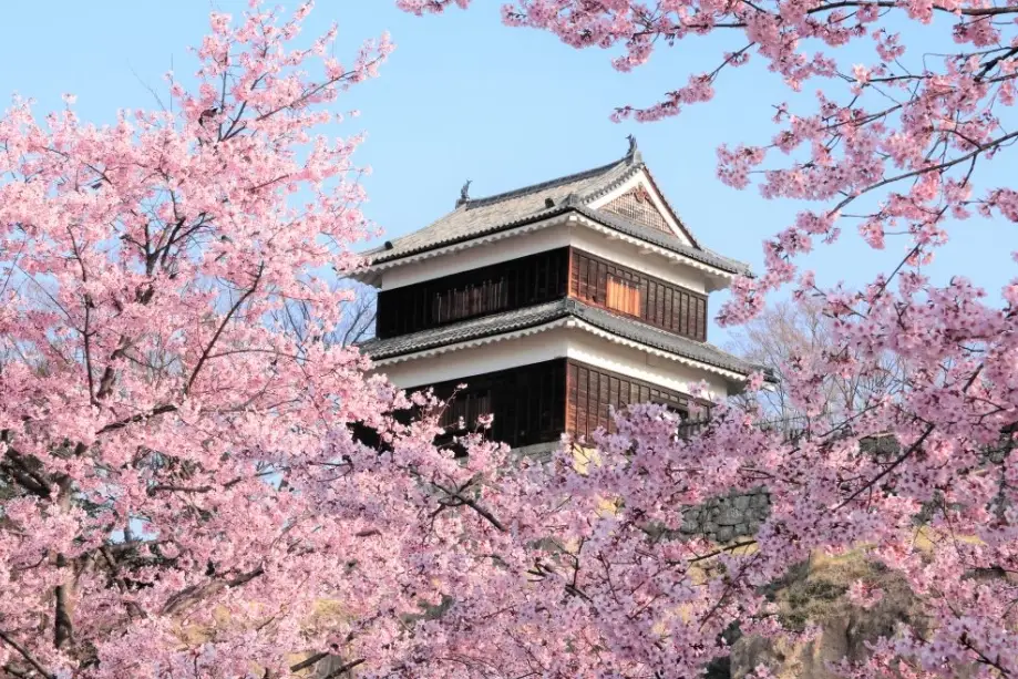 長野櫻花 時間 長野櫻花 時間