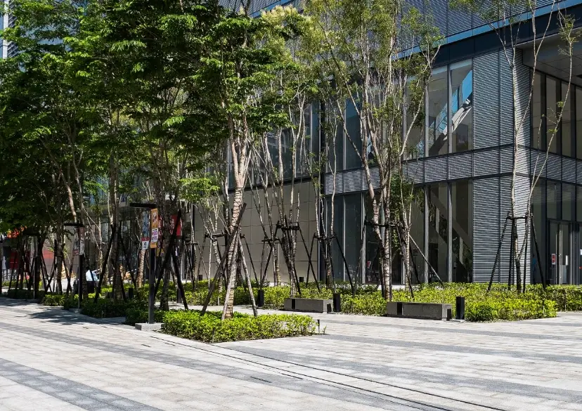 新莊夜景 新莊夜景