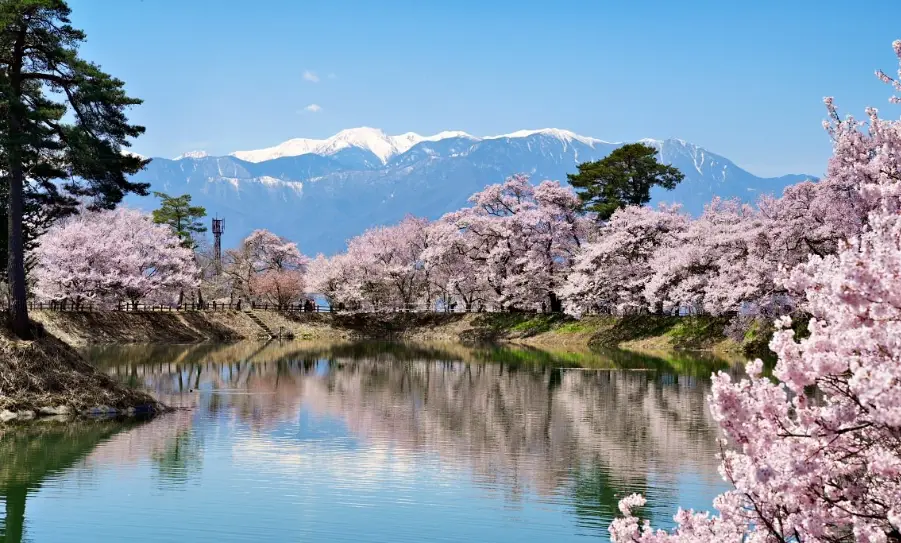 長野櫻花 時間 長野櫻花 時間
