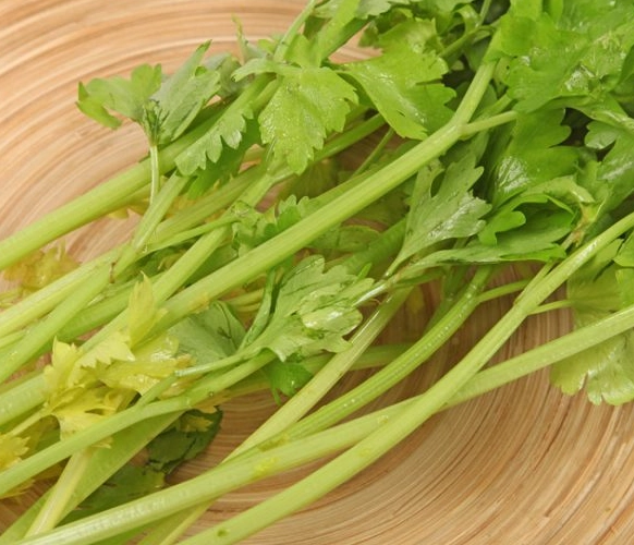 芹菜食物相剋