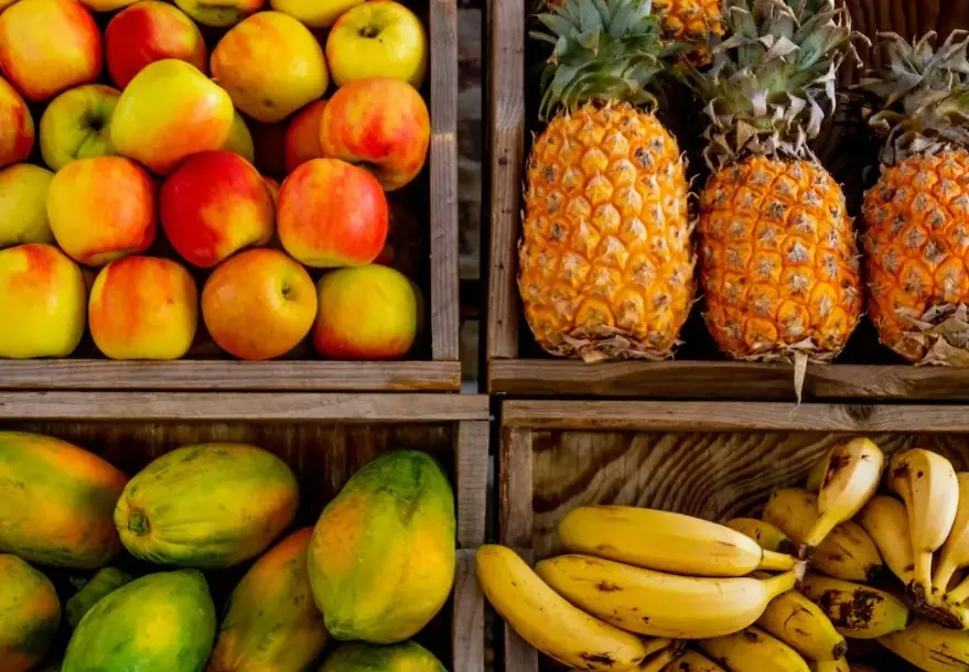 腎臟病 水果 腎臟病 水果