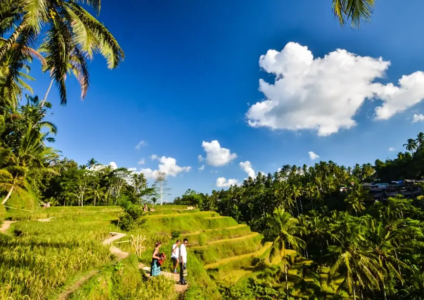 峇里島旅遊費用