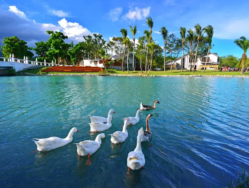 花蓮一日遊包車 花蓮一日遊包車