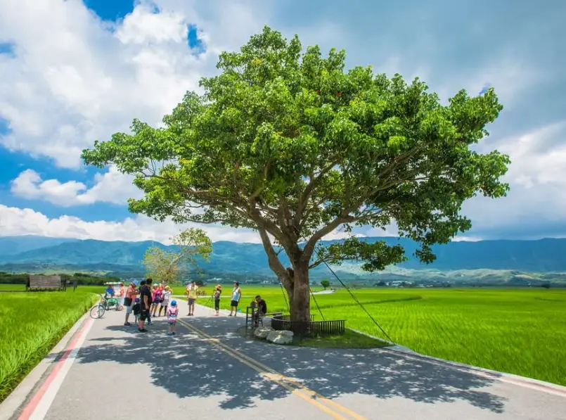 花東縱谷怎麼玩