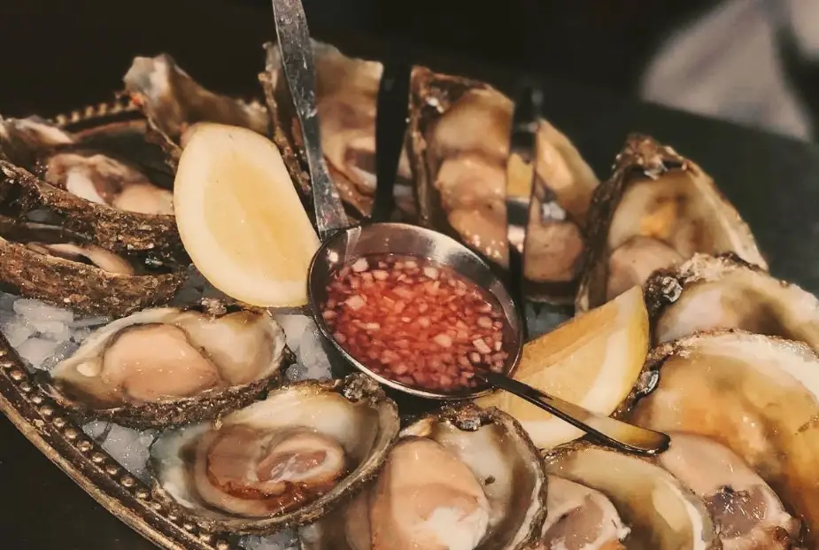 奧克蘭景點推薦 奧克蘭景點推薦