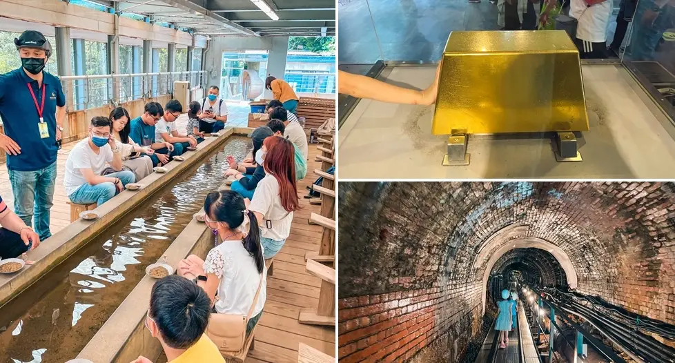 新竹以北一日遊