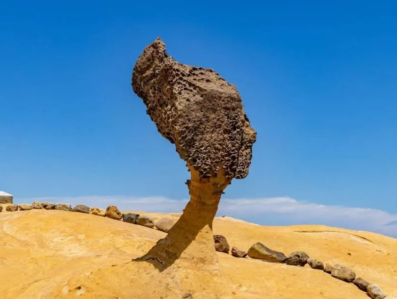 新北一日遊 新北一日遊