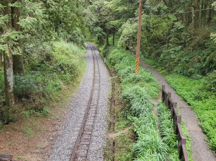 阿里山塔山步道