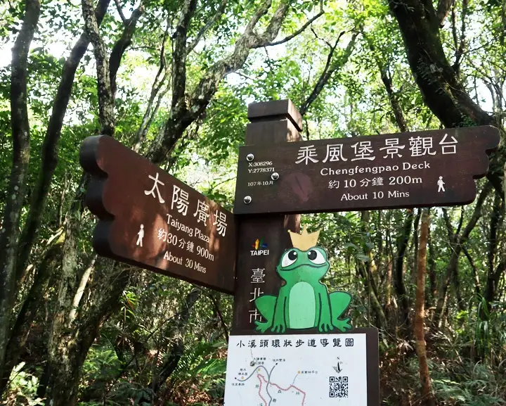 大崙頭森林步道