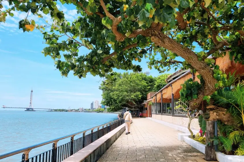 新北一日遊 新北一日遊