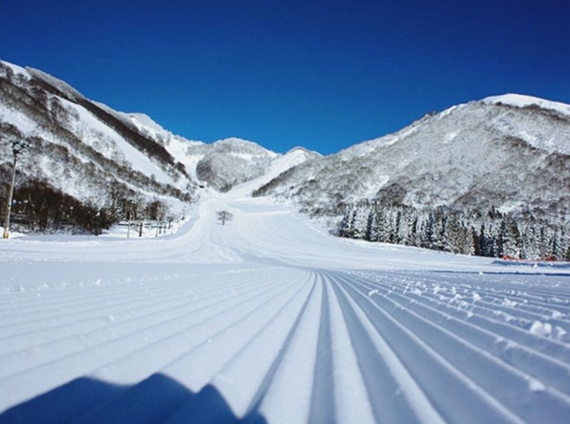 日本滑雪場推薦 日本滑雪場推薦