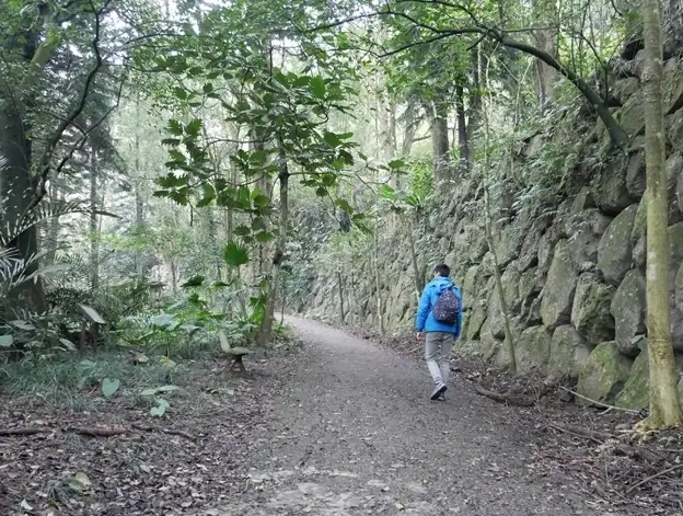 大凍山紫雲殿交通