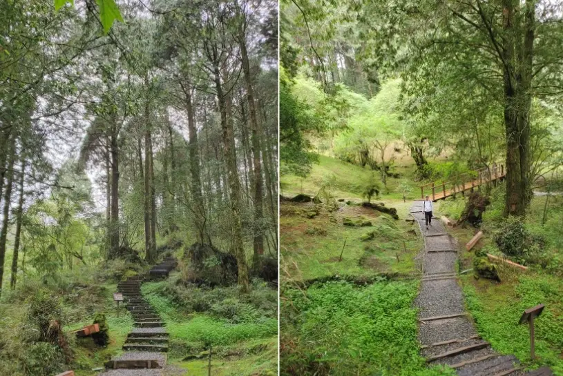 阿里山森林步道