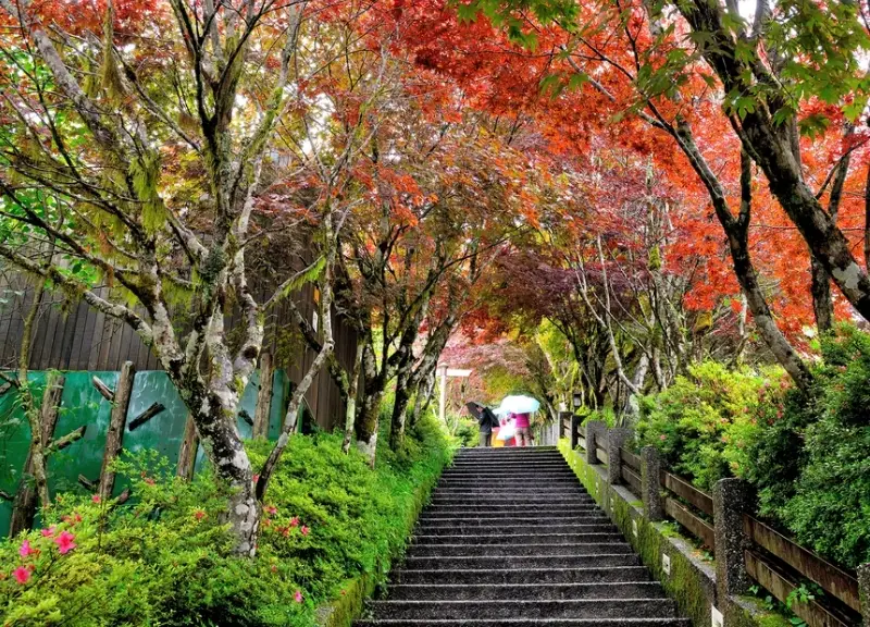 宜蘭必去景點 宜蘭必去景點