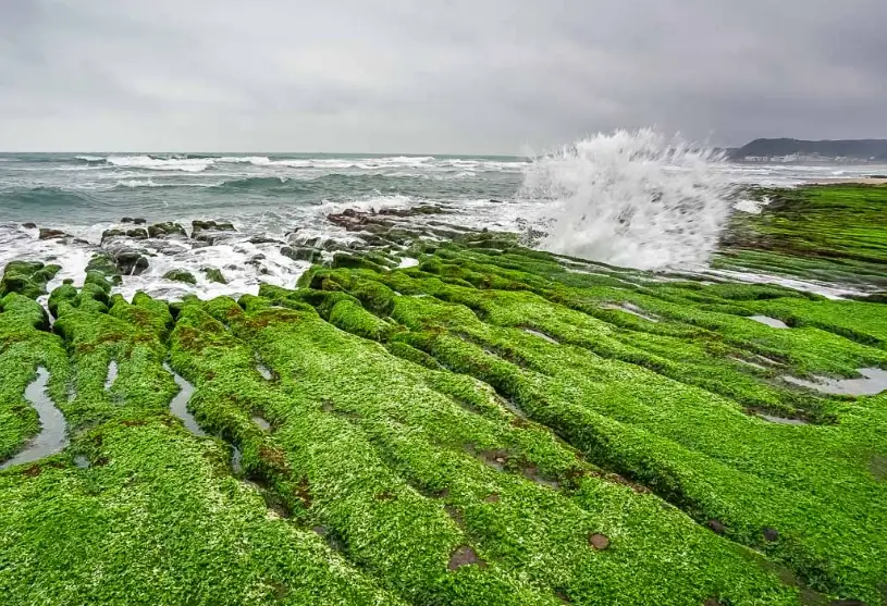 北部開車一日遊景點