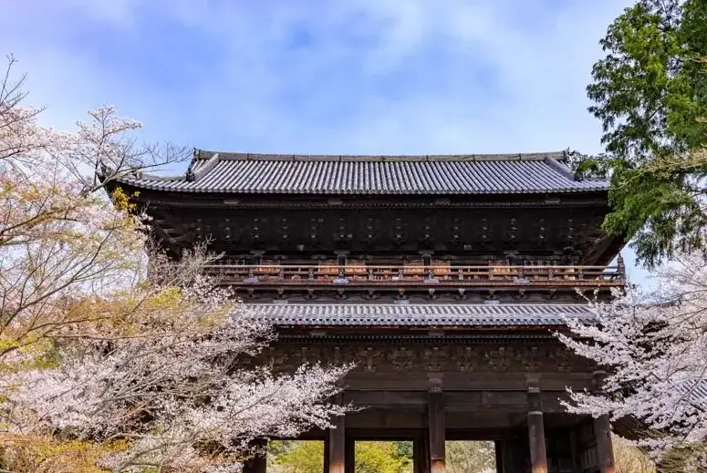 南禪寺交通 南禪寺交通