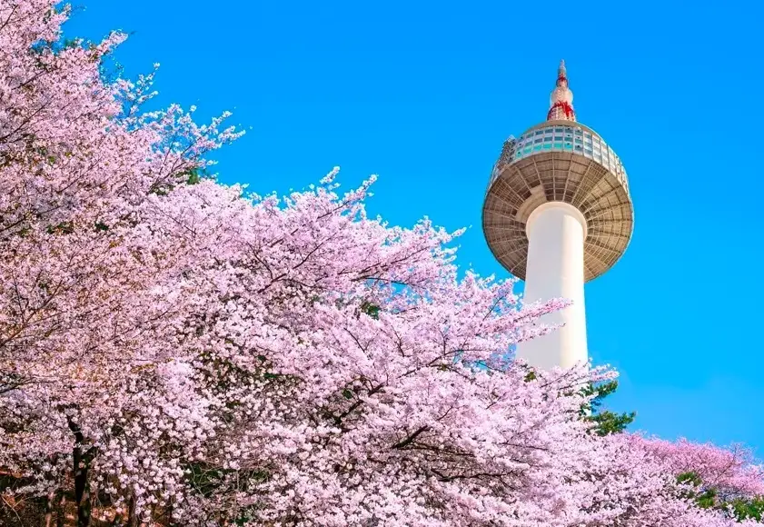 首爾塔值得去嗎