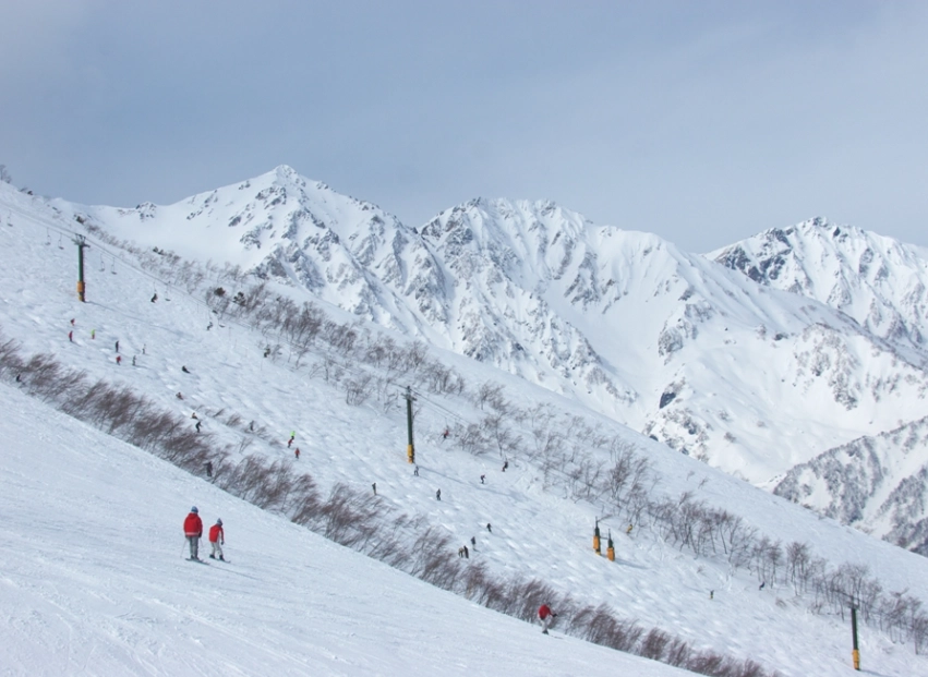 白馬滑雪攻略 白馬滑雪攻略