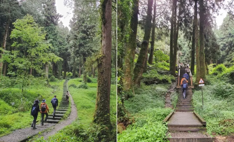 阿里山塔山步道
