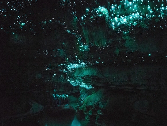 紐西蘭北島自駕