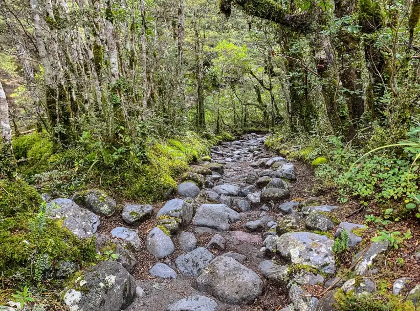 紐西蘭北島旅遊